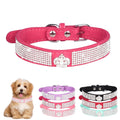 Hot Pink Rhinestone Crown Dog Collar