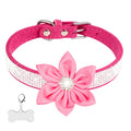 Hot Pink Rhinestone Flower Dog Collar
